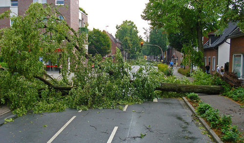 Home Preparation Tips for Summer Storms