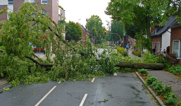 Home Preparation Tips for Summer Storms