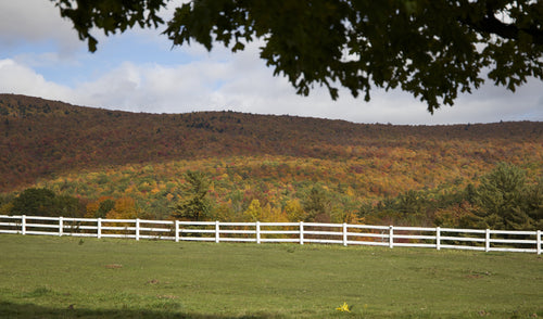 How To Choose The Right Type of Fence