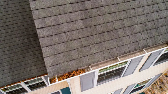 Inspection of roof shingles and gutter in autumn in MA