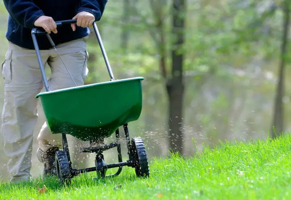 Man fertilizing his lawn in East Brookfield, MA.