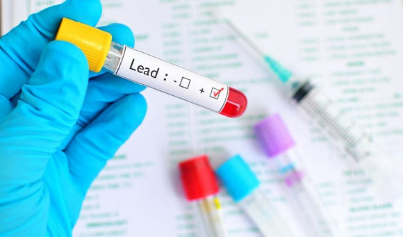 Lead Safety