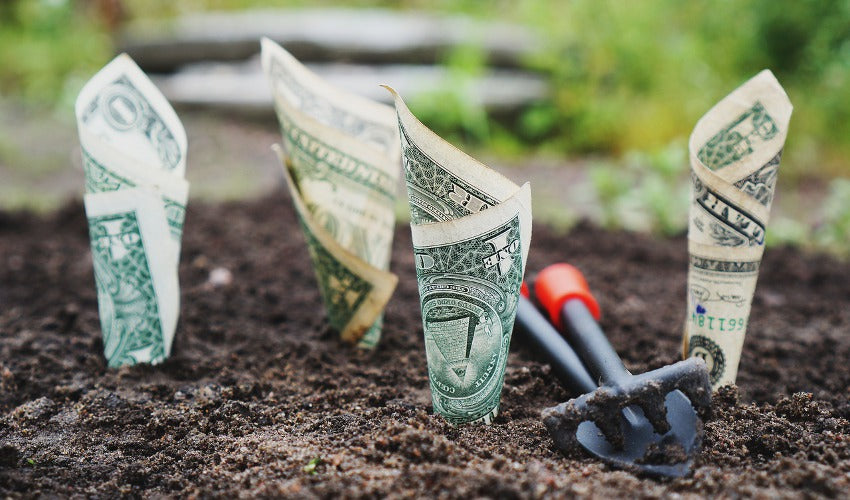 Simple Things For Your Home To Go Green And Save You Money