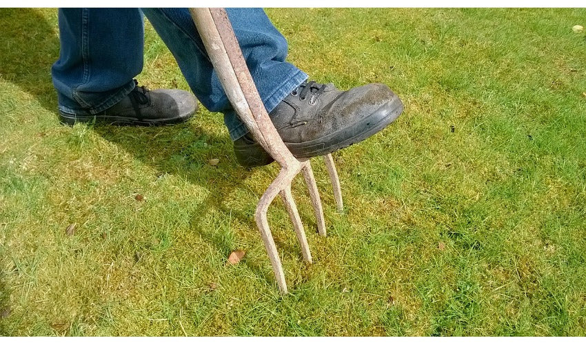 When You Should Aerate Your Lawn