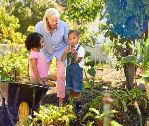 Grandma gardening with her grandchildren in East Brookfield, MA.